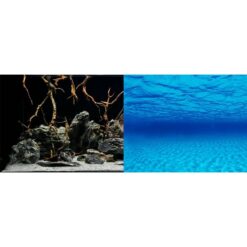Seascape/Natural Mystic Aquarium Backgrounds