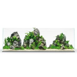 60L Rimless Aquarium - 6 Gallon