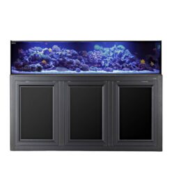 Aquariums & Stands