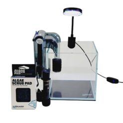 1 Gallon Nano Cube Rimless Aquarium Kit