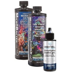 Microbacter Dry Rock Bacteria Starter Kit (OPEN BOX)