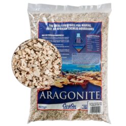 Florida Crushed Coral Dry Sand