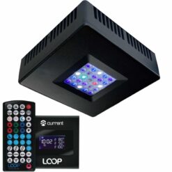 Orbit R24 LED Reef Light w/ LOOP IR Remote (OPEN BOX)