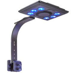 Jump 65W LED Light - Blue