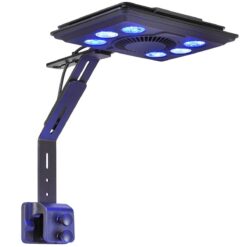 Jump 65W LED Light - Regular (OPEN BOX)