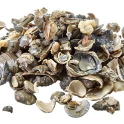 Eco-Complete African Cichlid Gravel Substrate 20lbs
