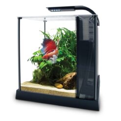 Fluval Betta Premium Kit (2.64 Gal)