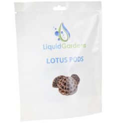 Lotus Pods 3ct - Liquid Gardens