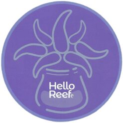 Blue Anemone Sticker