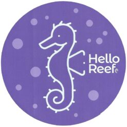 Blue Seahorse Sticker