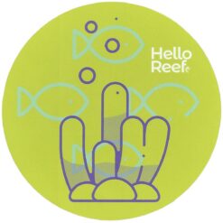 Green Coral & Fish Sticker