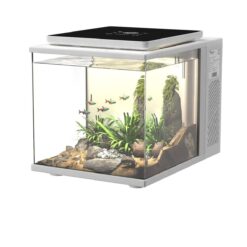 Dice Series Pico Cube Aquarium (2 Gal) Pearl White