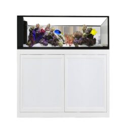 Nuvo INT 100 Peninsula Aquarium with White APS Stand