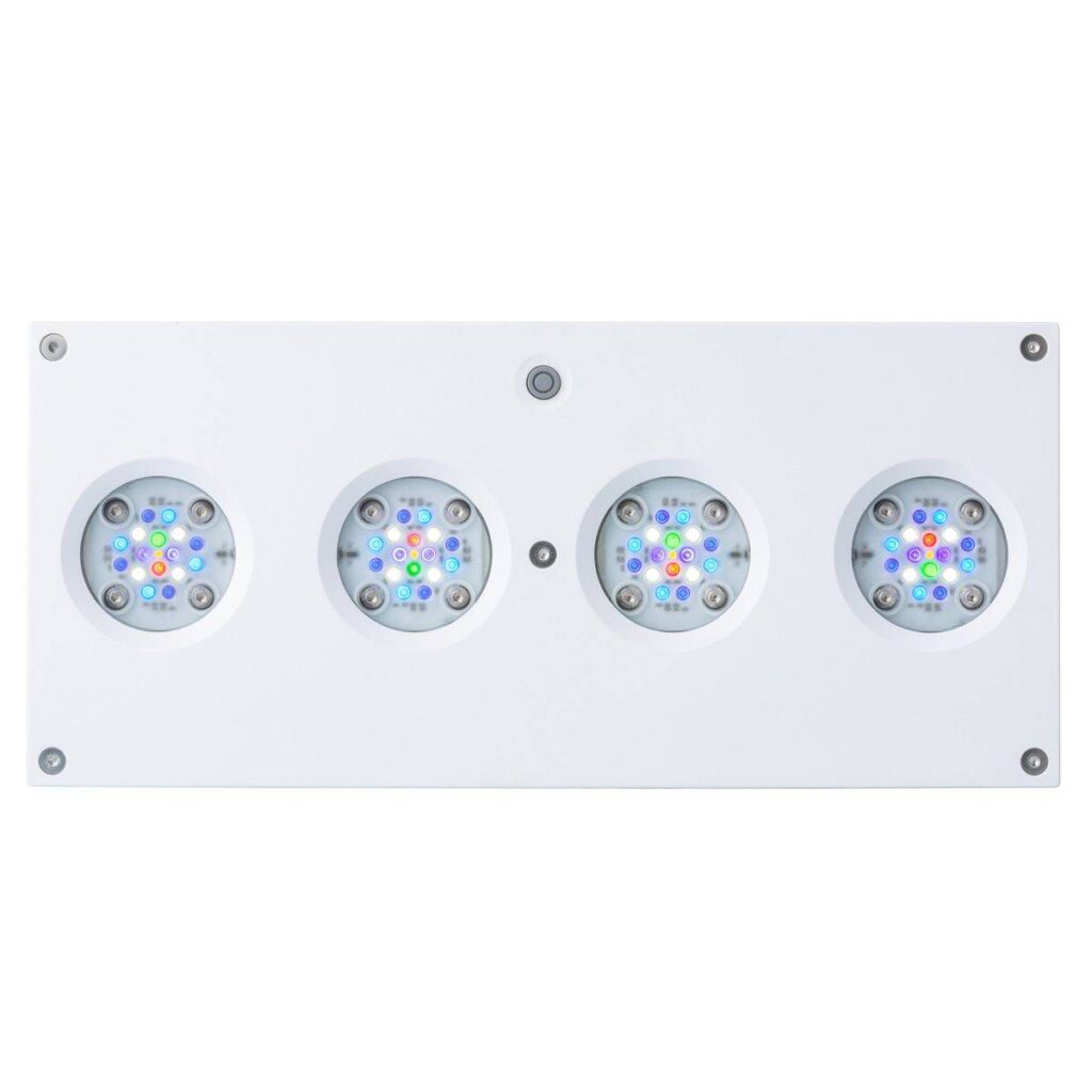 ai_hydra64hd_bottom_white-1200x1200-1