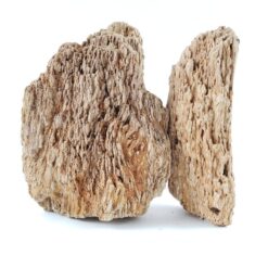 Burma Petrified Stone (25lb Box)