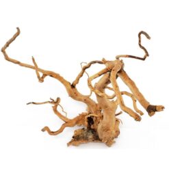 Spider Wood / Cuckoo Root (12-23 Inches)