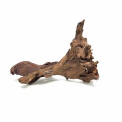 Drift Wood (8-15 Inches)