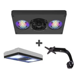 XR30w G4 Pro Radion with Diffuser and RMS Mount Bundle - Ecotech Marine