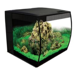 Fluval Flex 15 Gallon Aquarium Kit