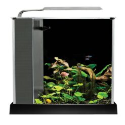 Fluval Spec 2.6 Gallon Aquarium Kit
