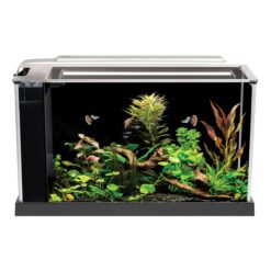 Fluval Spec 5 Gallon Aquarium Kit
