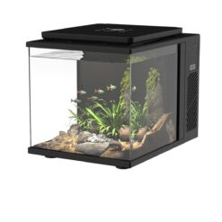 Dice Series Pico Cube Aquarium (2 Gal) Jazzy Black