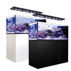 Reefer Peninsula Deluxe 650 System (140 Gal)