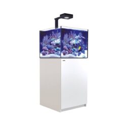 Reefer Deluxe XL 200 System (42 Gal) - White - RedSea (DISCONTINUED)
