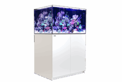 Reefer XL 300 G2 System (65 Gal) - White - RedSea
