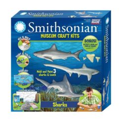 Shark Museum Craft Kit
