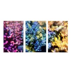 16"x24" 3-Piece Coral Oil Painting Canvas Set