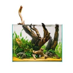 45T Rimless Aquarium - 11 Gallon