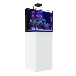 Max NANO Cube Complete Reef System (20 Gal) - Pearl White - RedSea