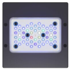 Radion XR15 G5 Blue LED Light Fixture