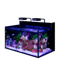 51 - 100 Gallons